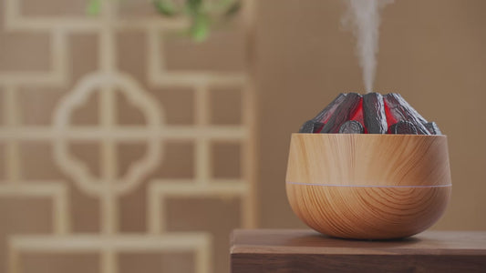 Bon Fire Diffuser